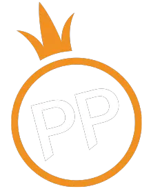 pp电子官网 Logo